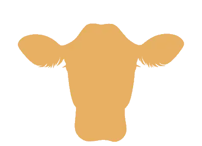Dairy Farm