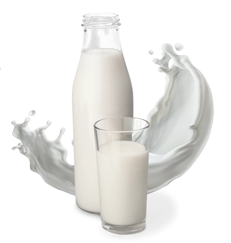Dairy Dairy Products