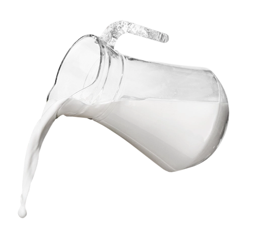 Milk Pitcher Milk Pitcher