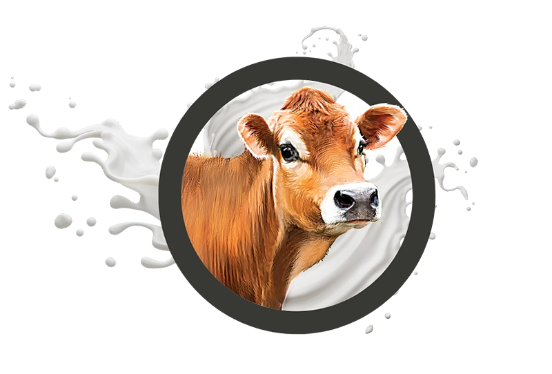 Trinity Valley Dairy Trinity Valley Dairy