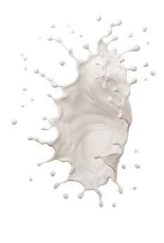 Milk Splash
